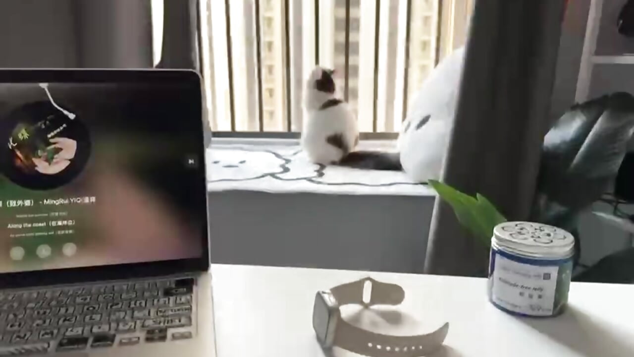 咪咪