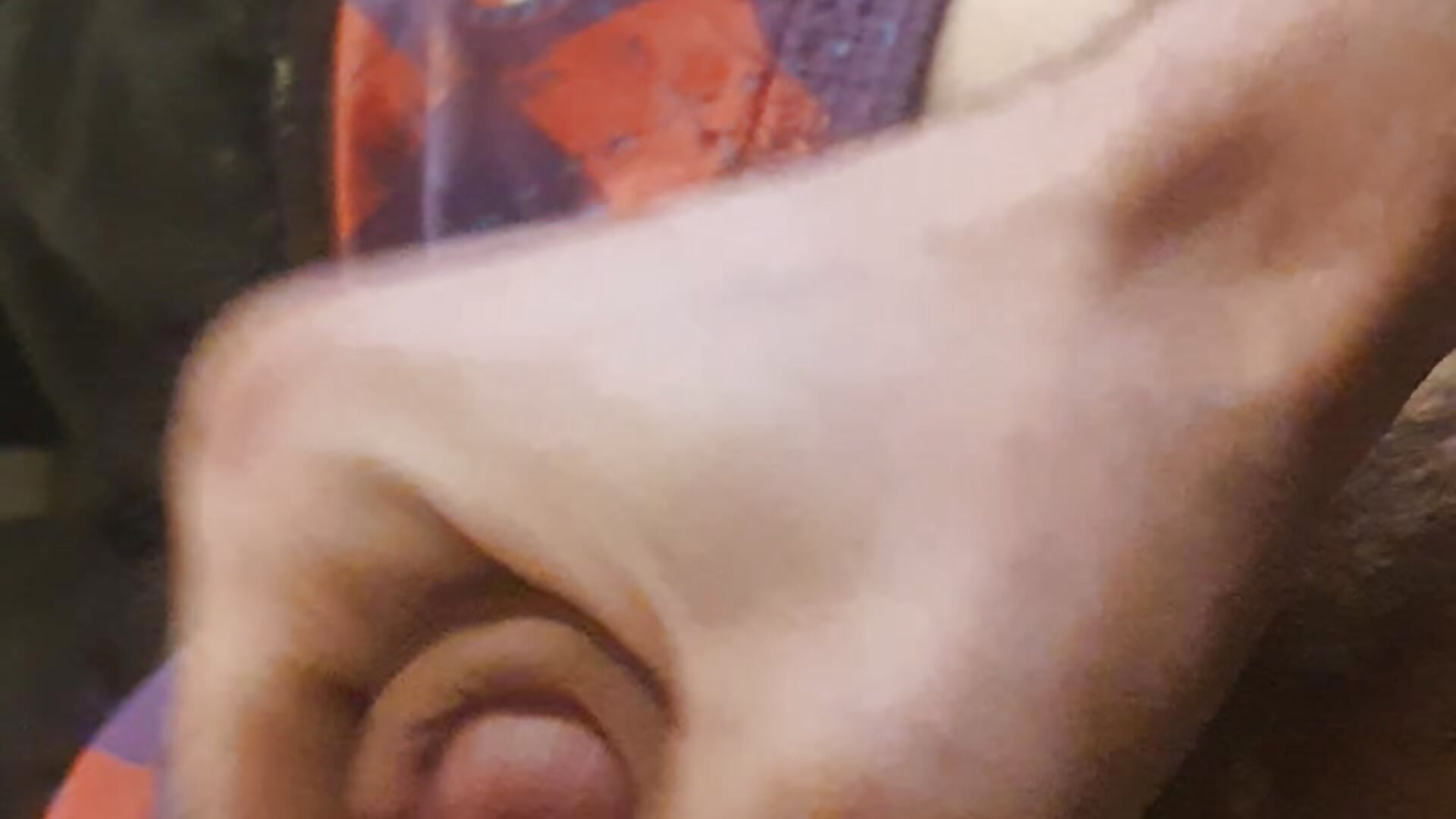 Jahresausgang und Neujahrs Beginn 31.12.21/01.01.22 Teill1 - video by fabiansissyfabienne cam model