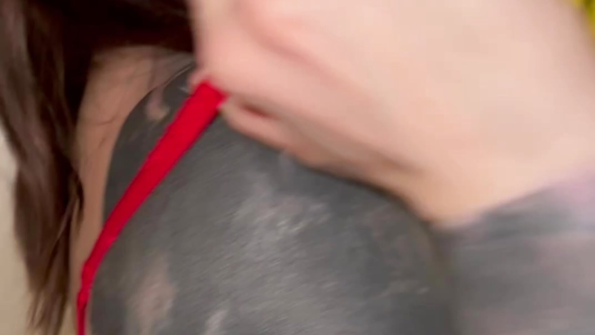 Merry Christmas – video od webkamerové modelky EvaCanton