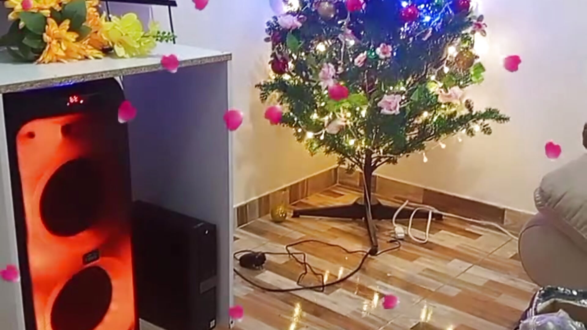 Some changes to be able to broadcast in different spaces - video by Chanelll_Taylorr_ cam model