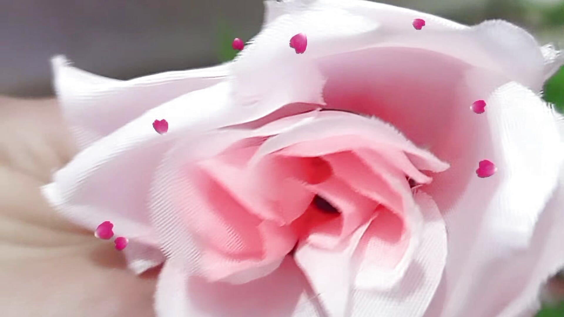 De magnifiques roses - video by Chanelll_Taylorr_ cam model