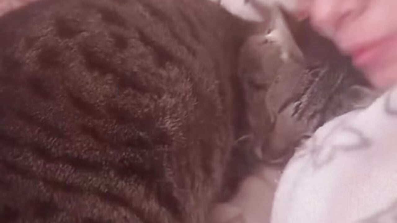 A little nap with my kittens 😍😺😺 - Chanelll_Taylorr_主播的视频