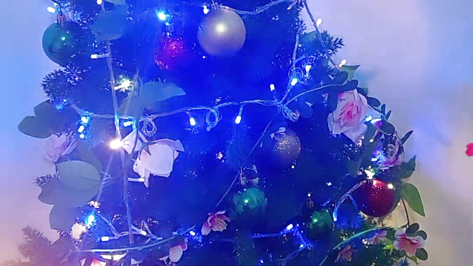 ✨💫🎄 - video by Chanelll_Taylorr_ cam model