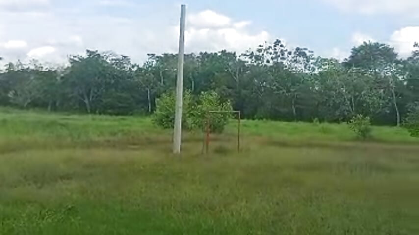 This is how the dawn greets me in my country house, it is beautiful - video by Chanelll_Taylorr_ cam model