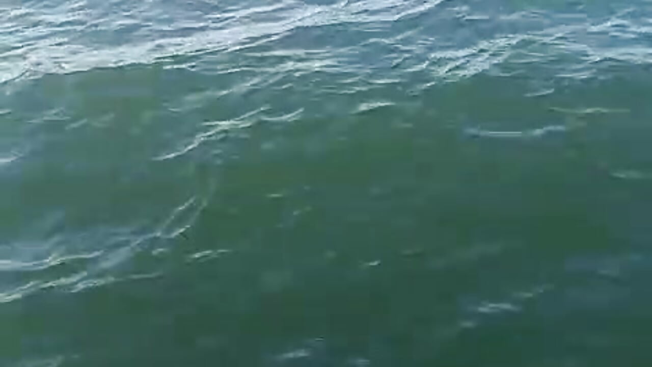 A beautiful view🤩👀 - video by Chanelll_Taylorr_ cam model