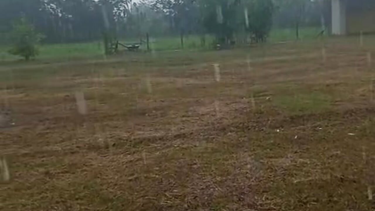 This is what a beautiful rainy afternoon looks like in my paradise in my country house my loves - 視頻由 Chanelll_Taylorr_ 主播提供