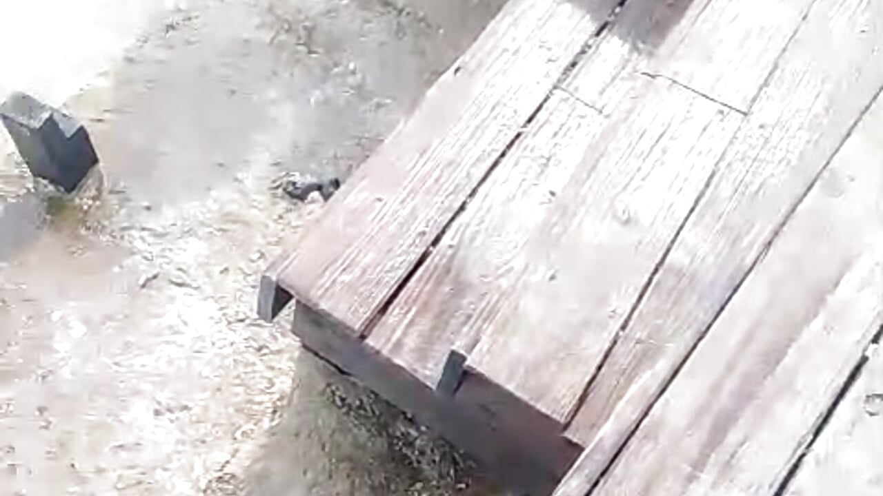 Siren mode🧜‍♀️🌊😘 - video by Chanelll_Taylorr_ cam model