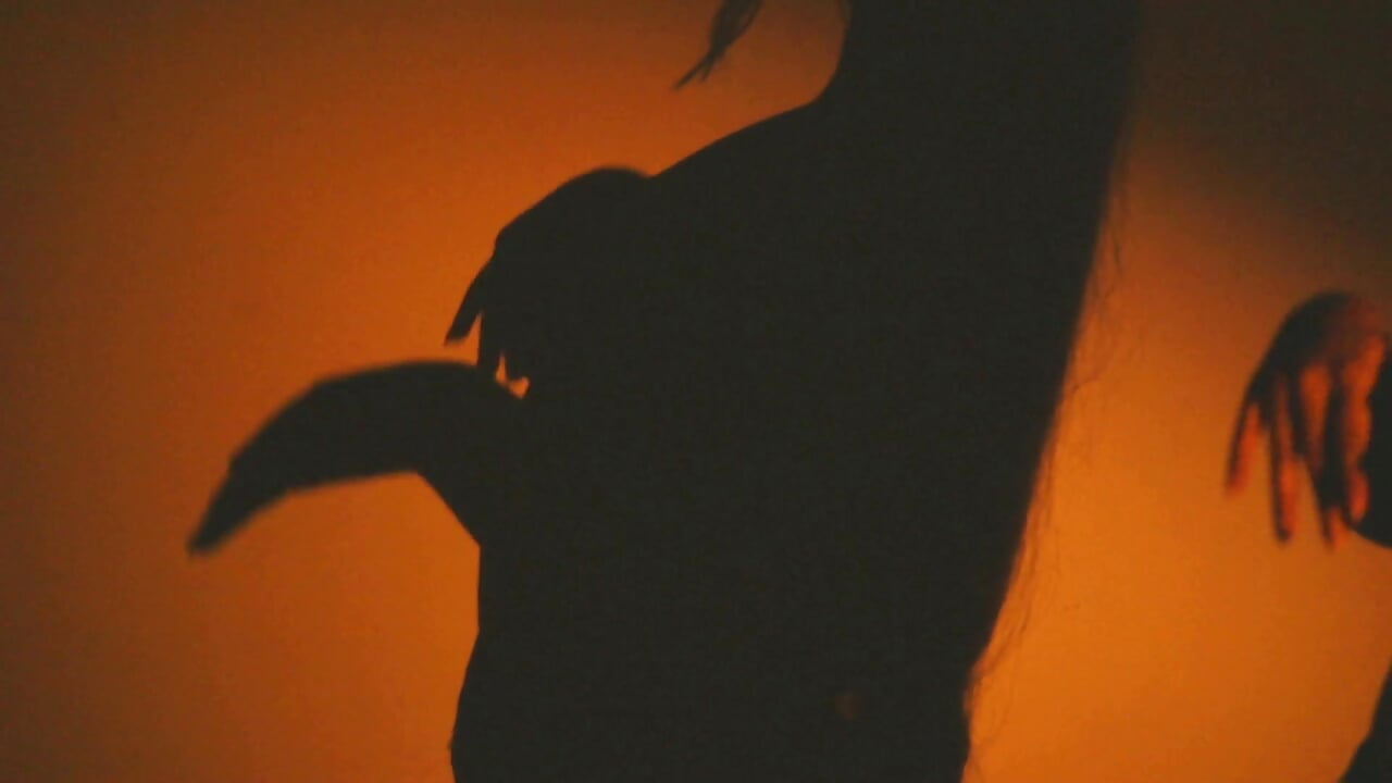 silhouettes