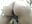 cream ass - XXX-Video von MilfPleasure