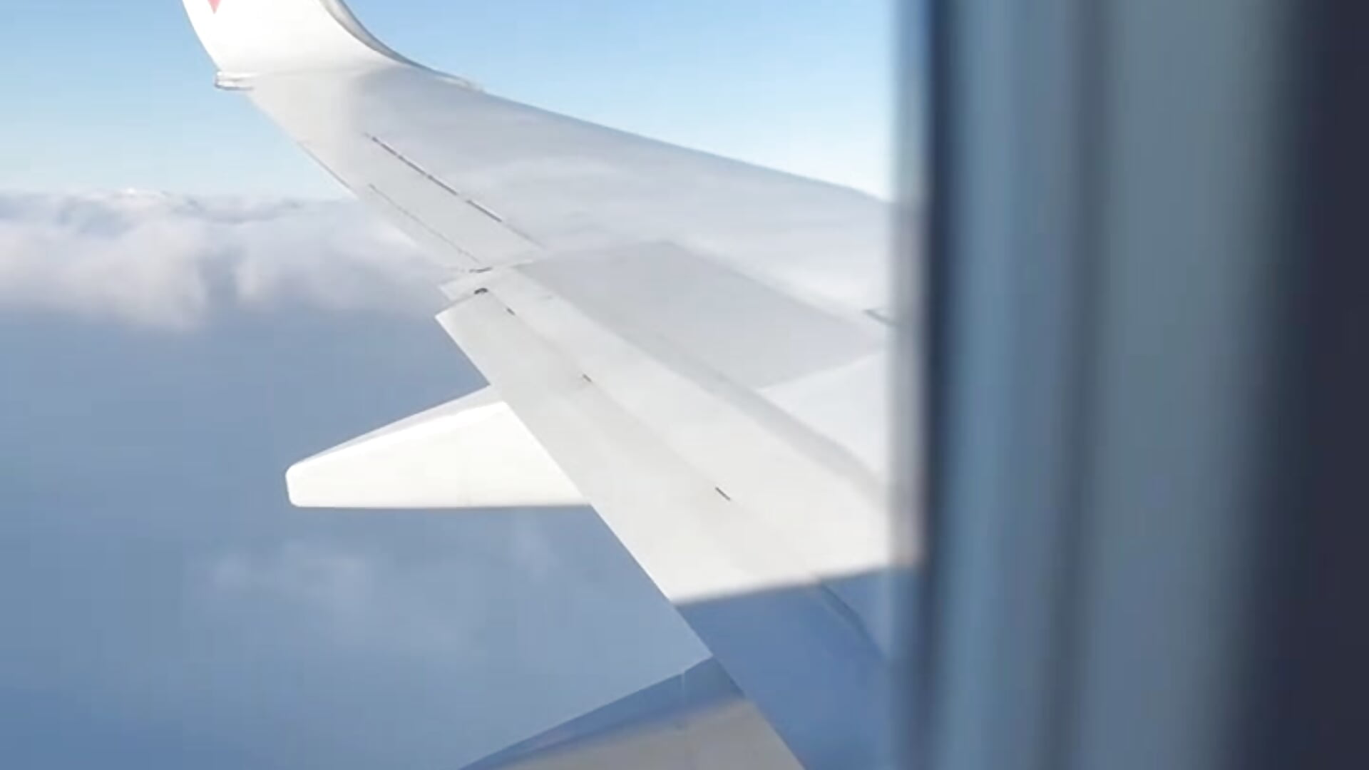 Відео HaruruHappy.