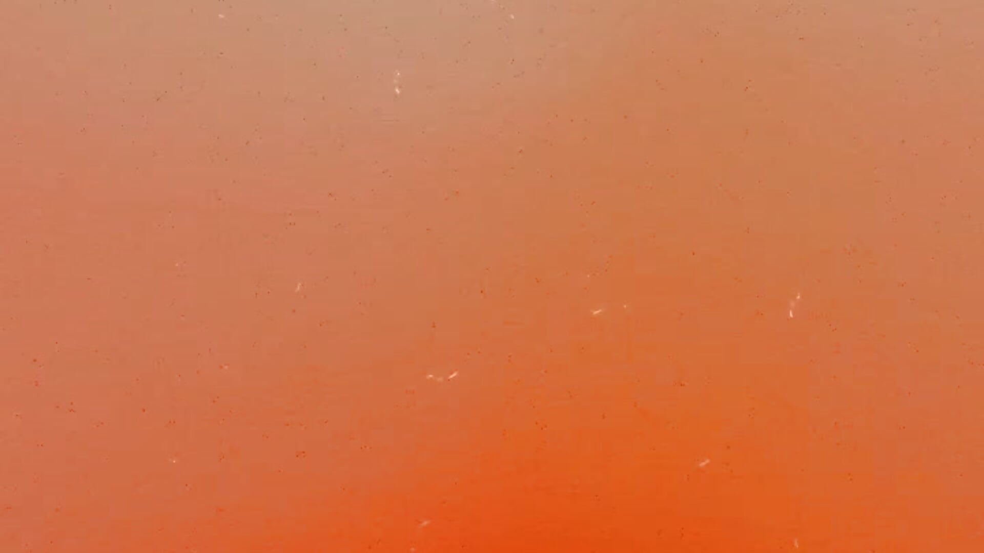 4E48C469-8B40-45D8-85EB-453777374B9B– Sexy_ebony_BunNey kameramodell videója