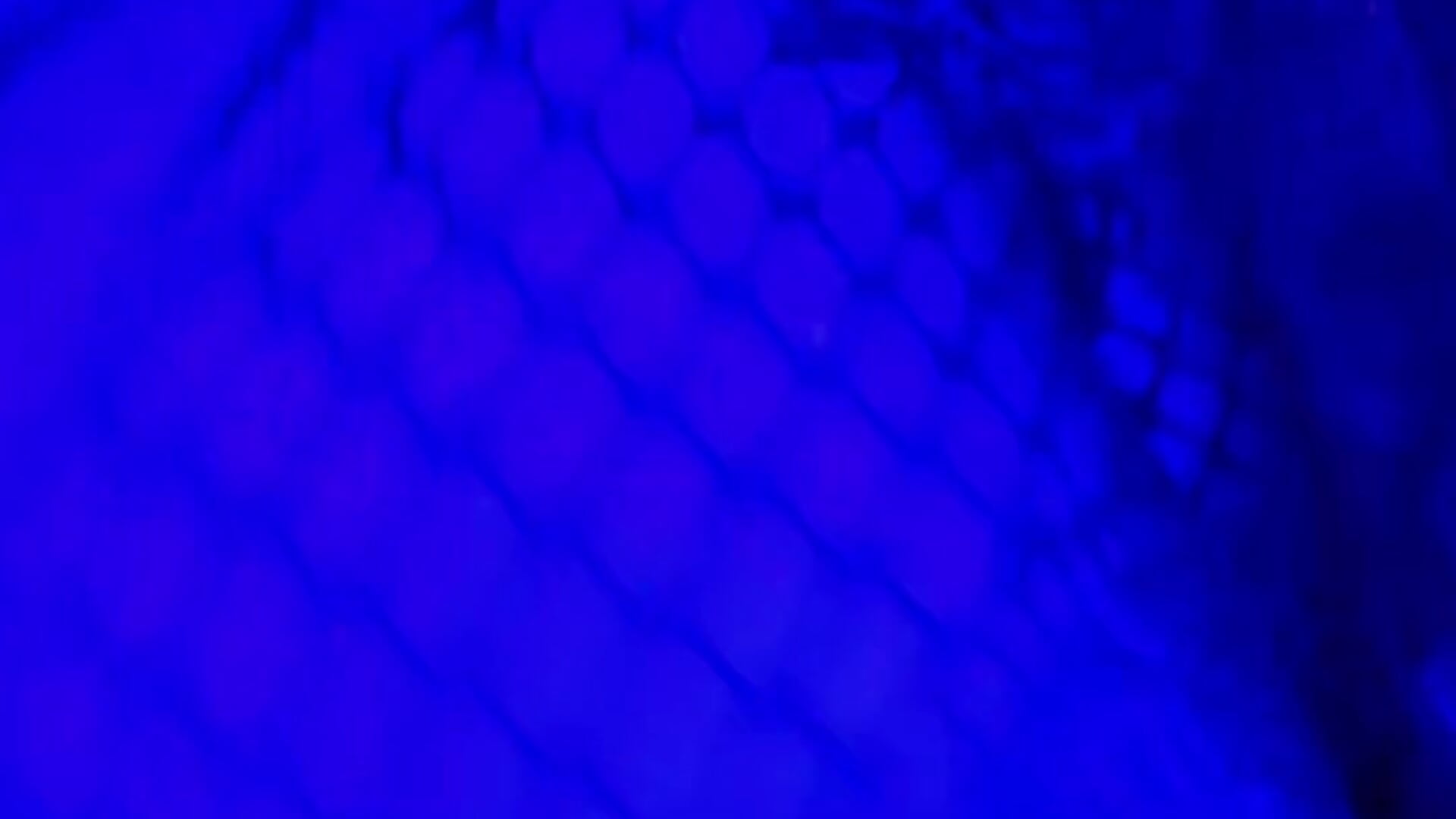 Thirty - video by Sexy_ebony_BunNey cam model