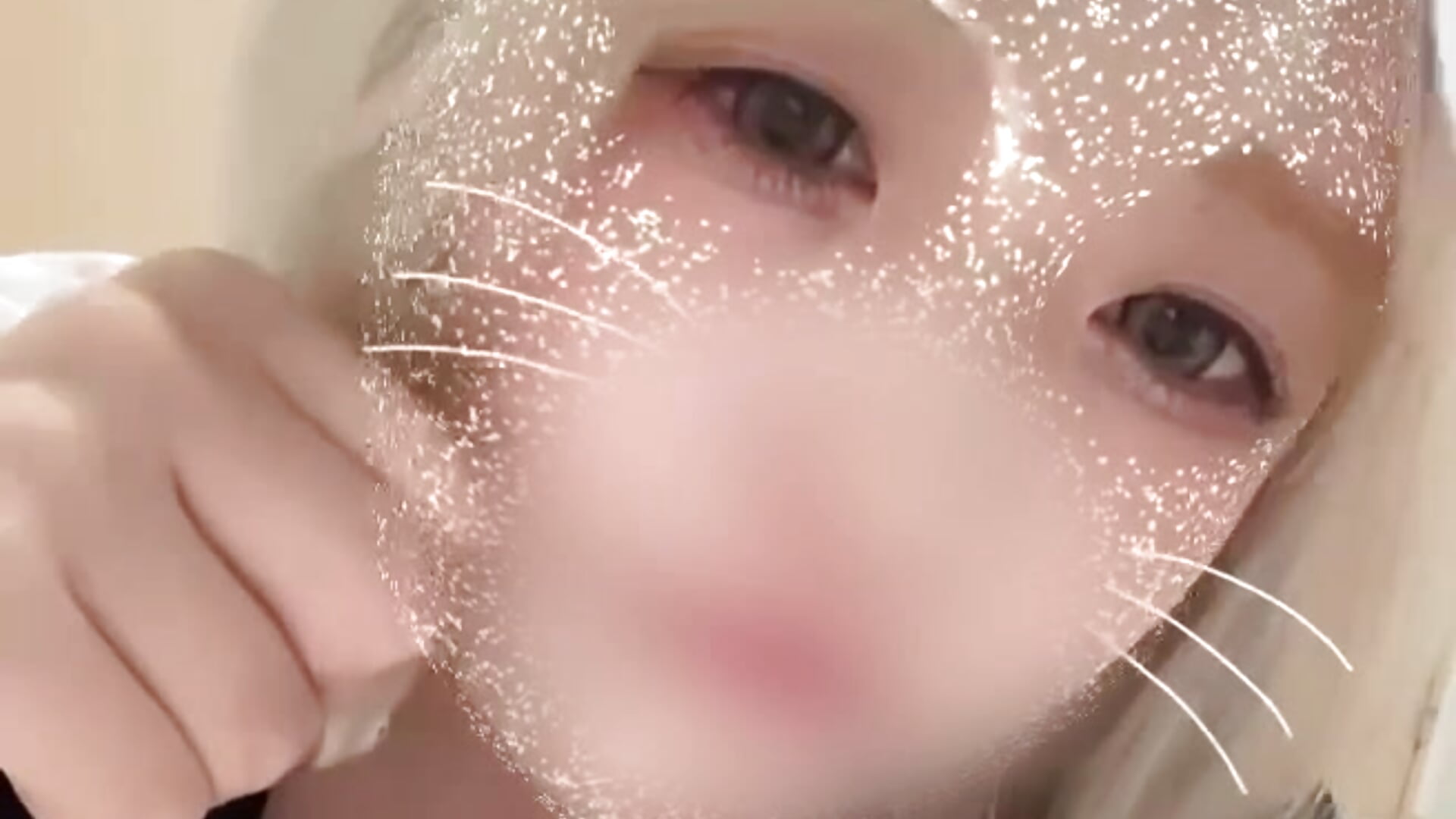にゃーん😽