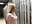 Die Jungs vom Bau👷🏻🚧 wissen wie man fickt! - Video von Micky_Muffin Cam-Model