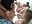 Dreier mit Liana Lou - Video von Micky_Muffin Cam-Model