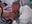 Creampie statt Abstrich - Video von Micky_Muffin Cam-Model