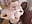 POV Citchen - Video von Micky_Muffin Cam-Model