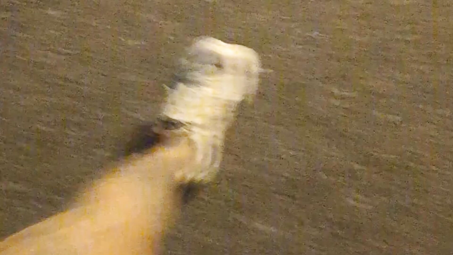 Freeballing super thin shorts - vídeo de la modelo de cam klownman1