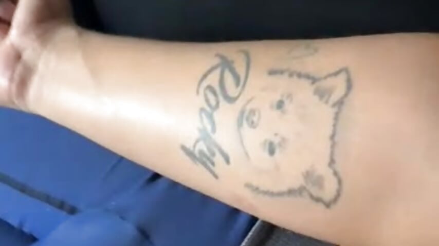 79885621590__A269844F-046B-478A-A869-BDBCEEAE370B－カメラキャストのmosmar_20の動画