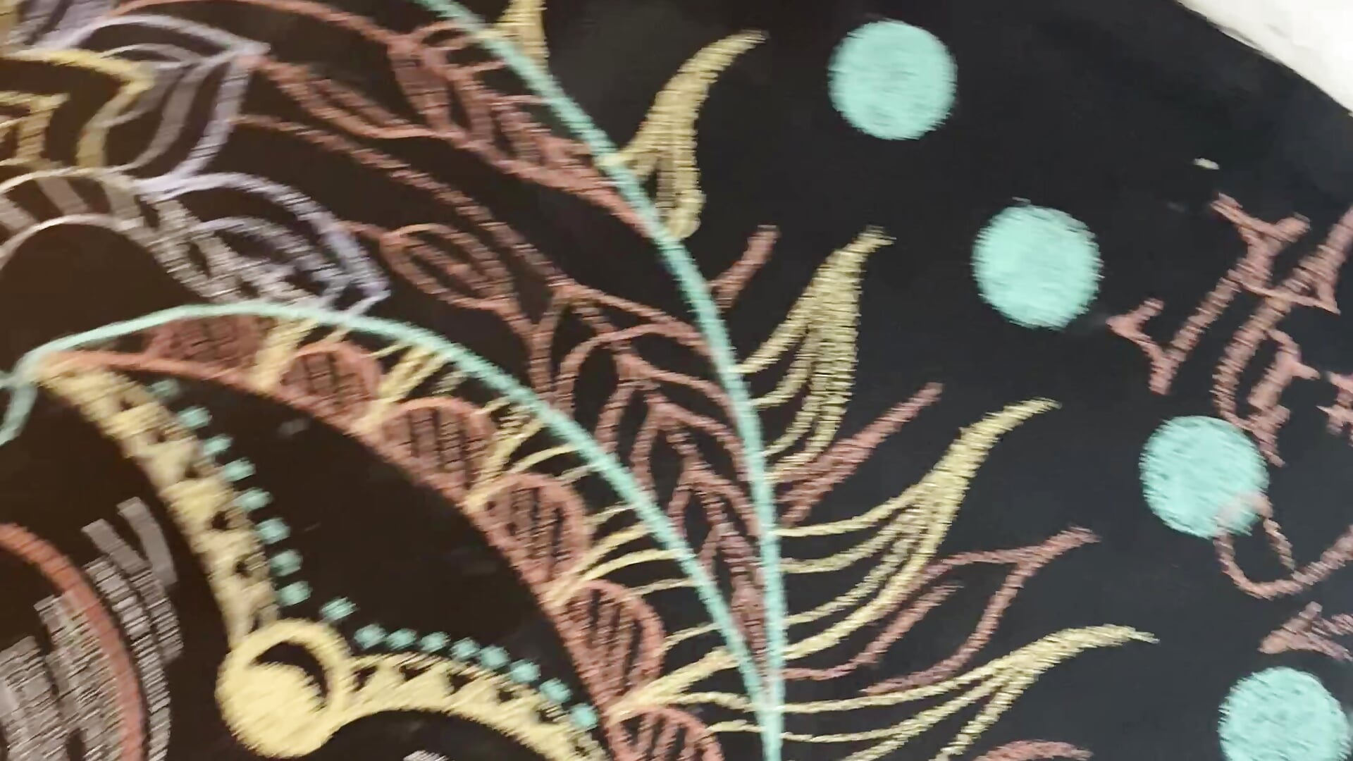 🎨 My Second Work Of Art  🎨 - MrShaggy主播的视频