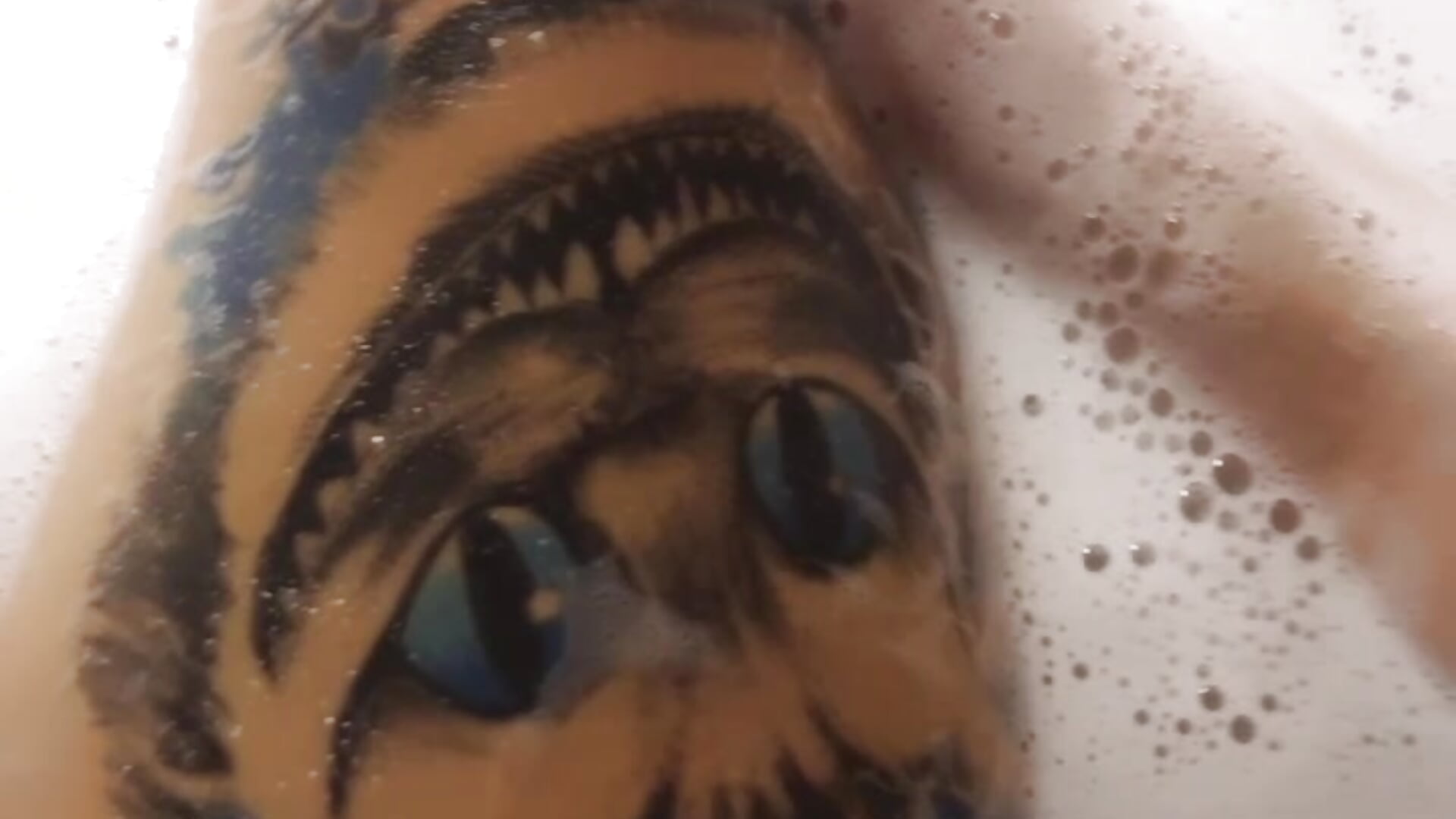 Cat in Bath - video by GioiaIpnotica cam model