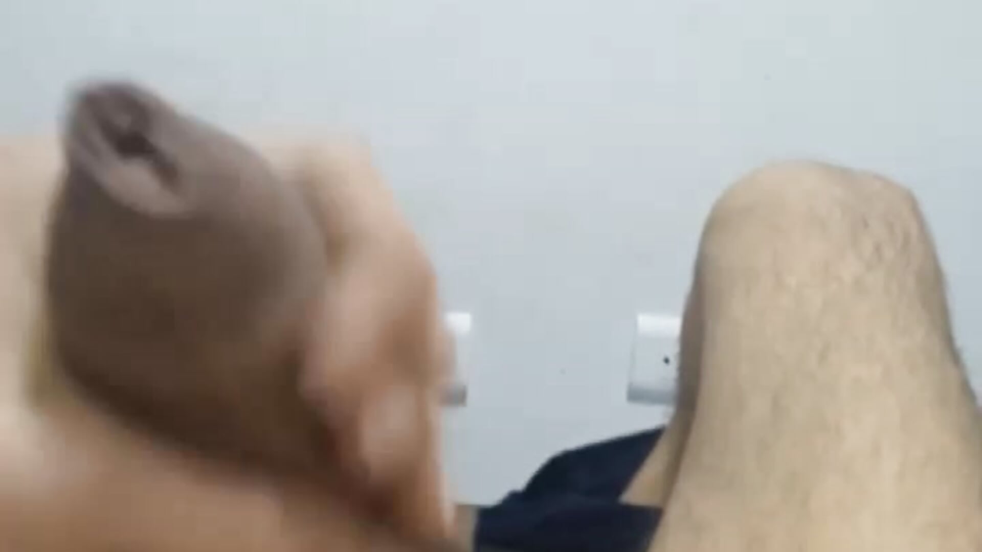 fre - video by hedocock21 cam model