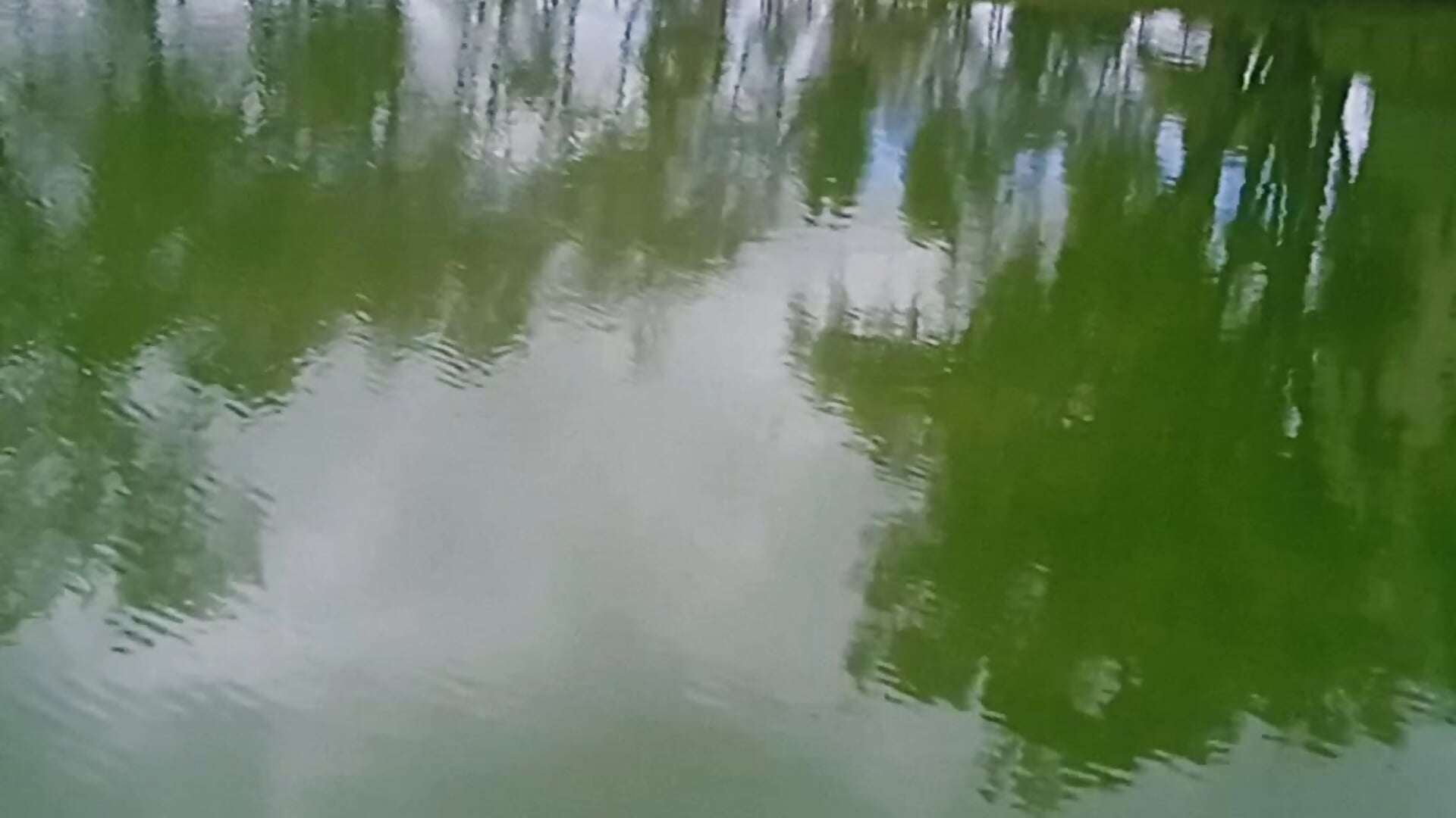 😻🌸🔥 - відео від вебкаммоделі Konan_atsuko