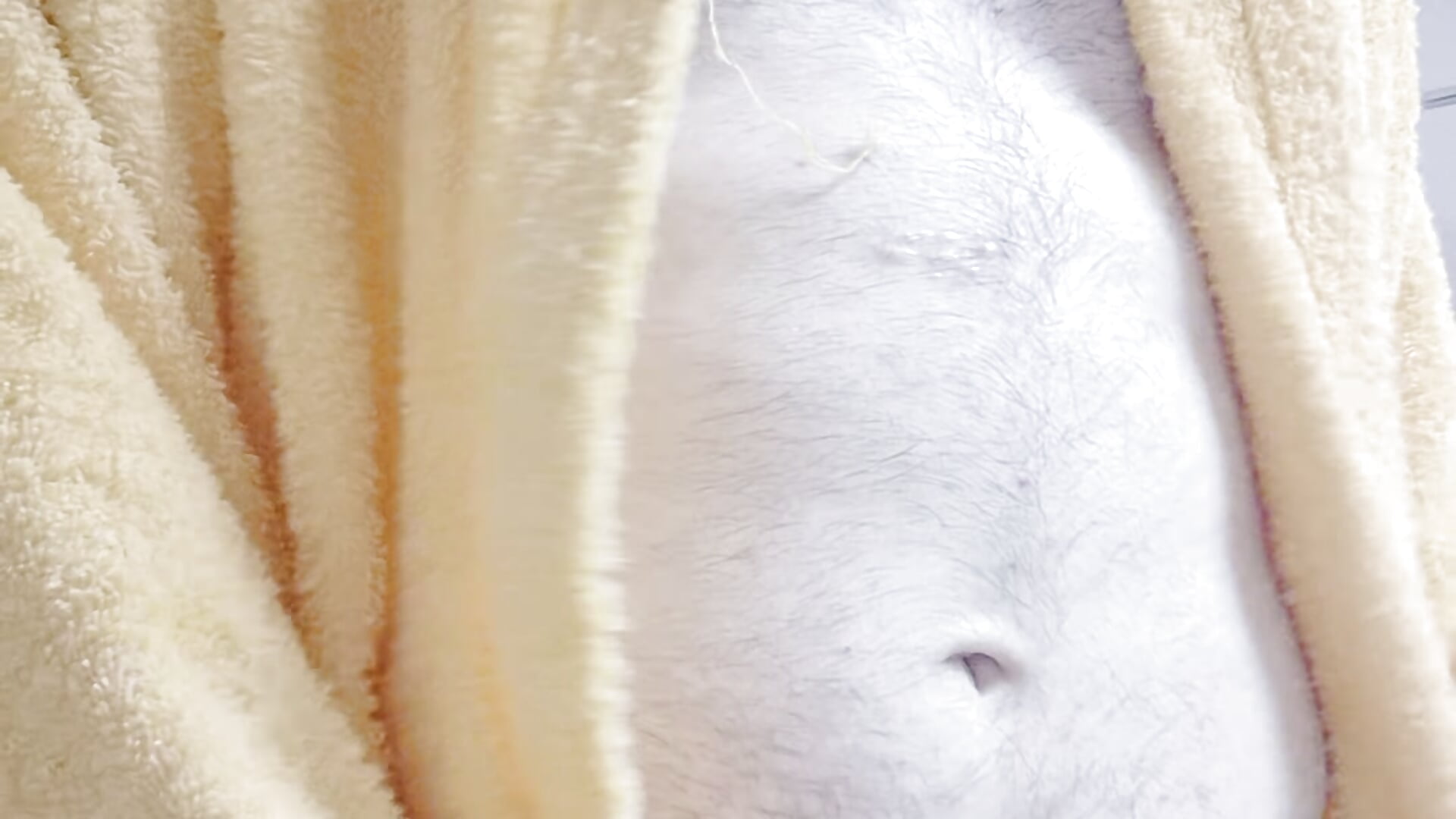 4857– lorix03 kameramodell videója