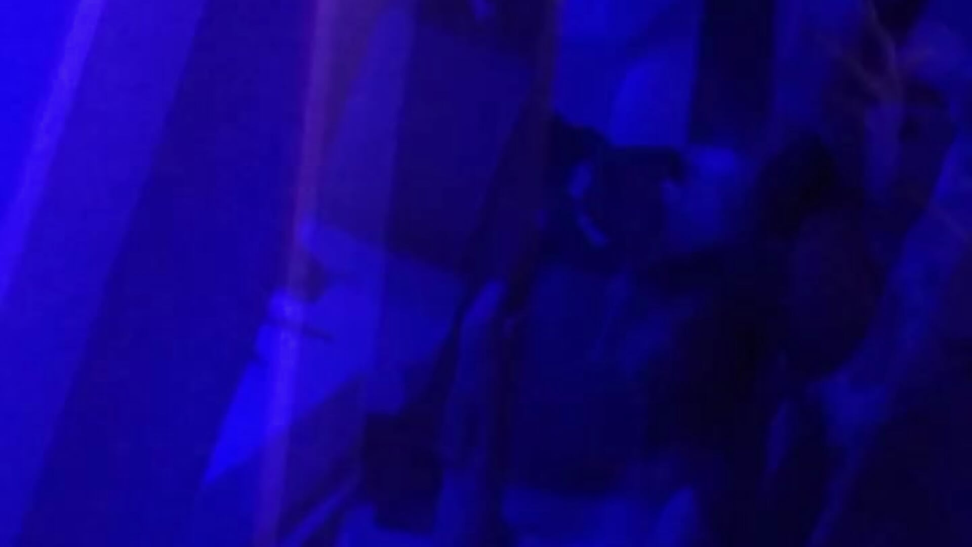 🍀alone like money🤑💸 – видео вебкам-модели allison_doll1