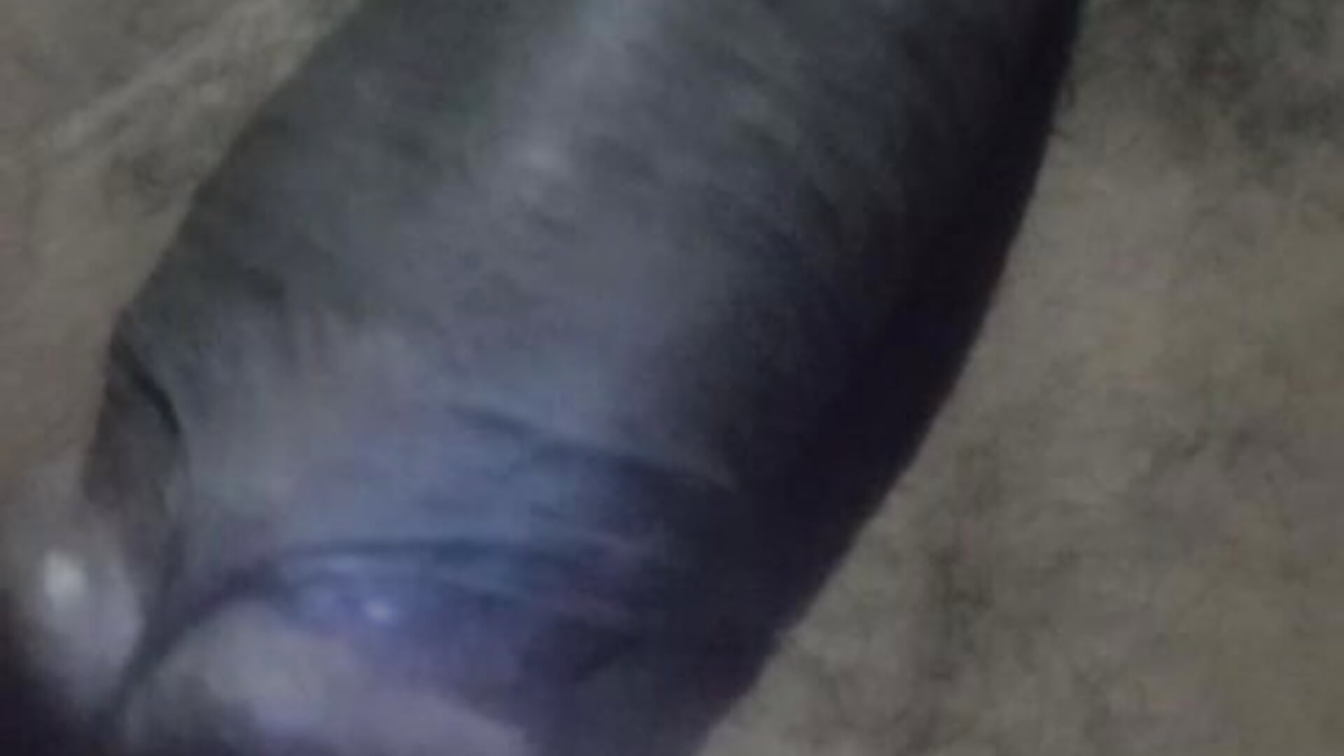 Make_Hard_Aaah_20251226_210820 - copy 8 Feb 10:10 - video av SashaahXXX cam model