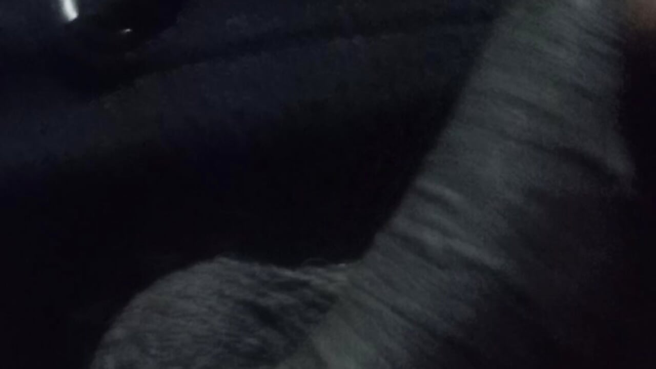 profile-intro-video-1770545718 - βίντεο μοντέλου SashaahXXX