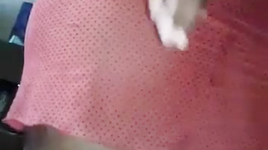 IFVCKMABITCHES - วิดีโอโดย SashaahXXX โมเดลแคม