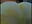 Tail and shell made of yellow lycra / Cola y conchita por lycra amarilla - video by izanmiller2001 cam model
