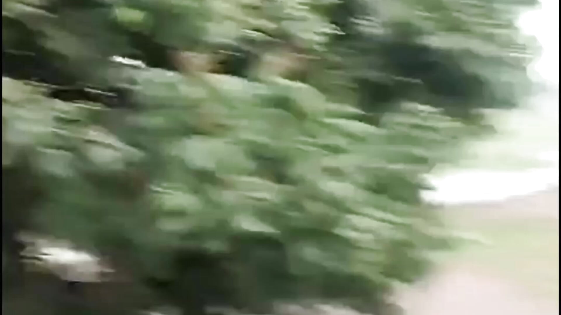 6月29日 (1)(5)