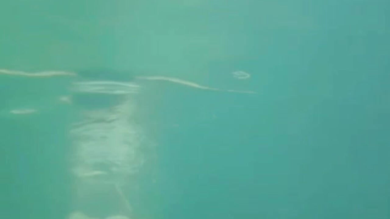 The strangers a lot  💋💋💋 - vidéo du modèle de showcams Kateryn_