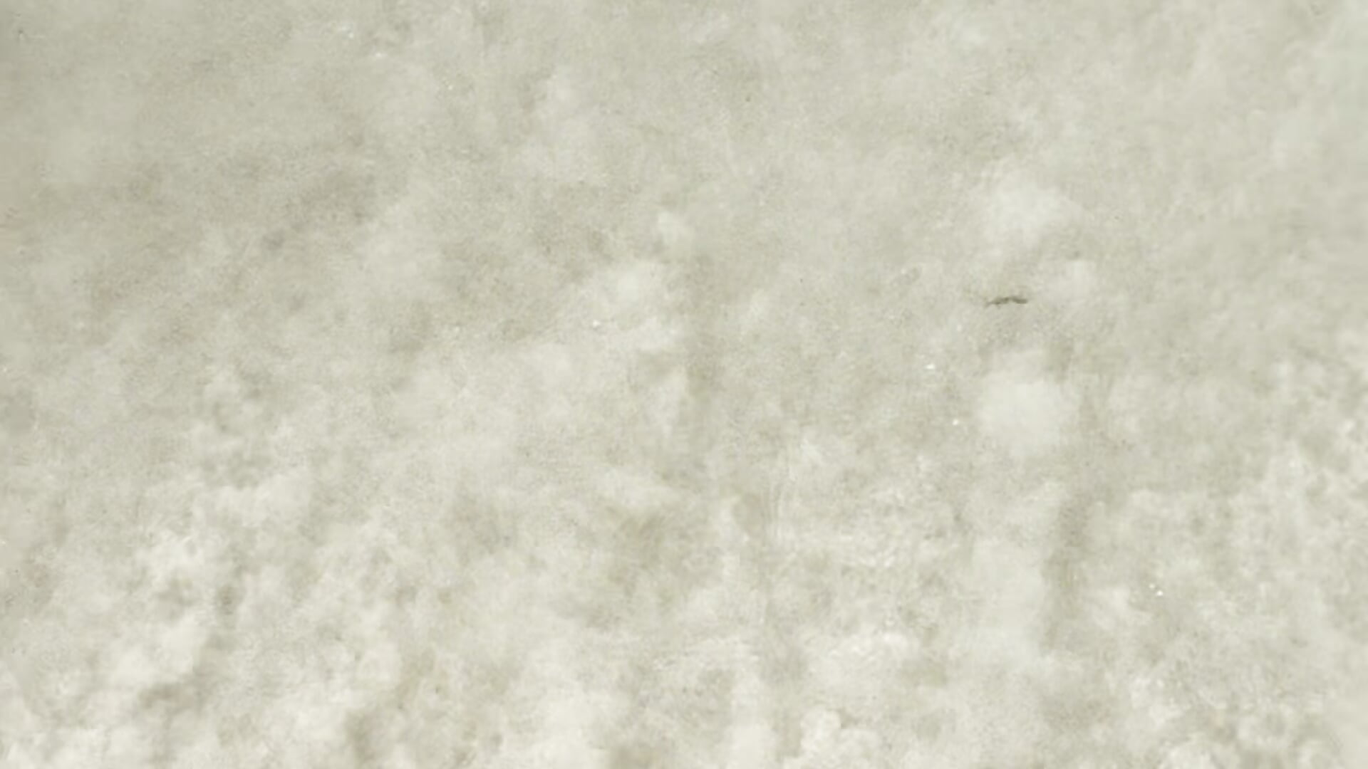 🌊🌊 - วิดีโอโดย Marietta_Castro โมเดลแคม