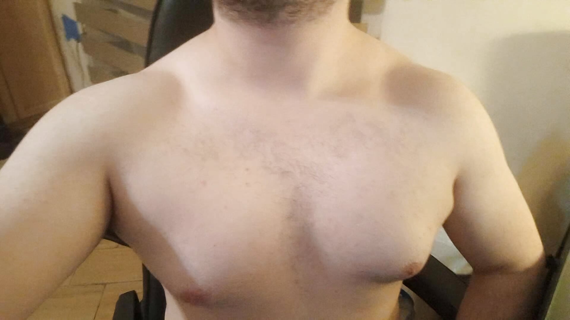 Himbo_fox