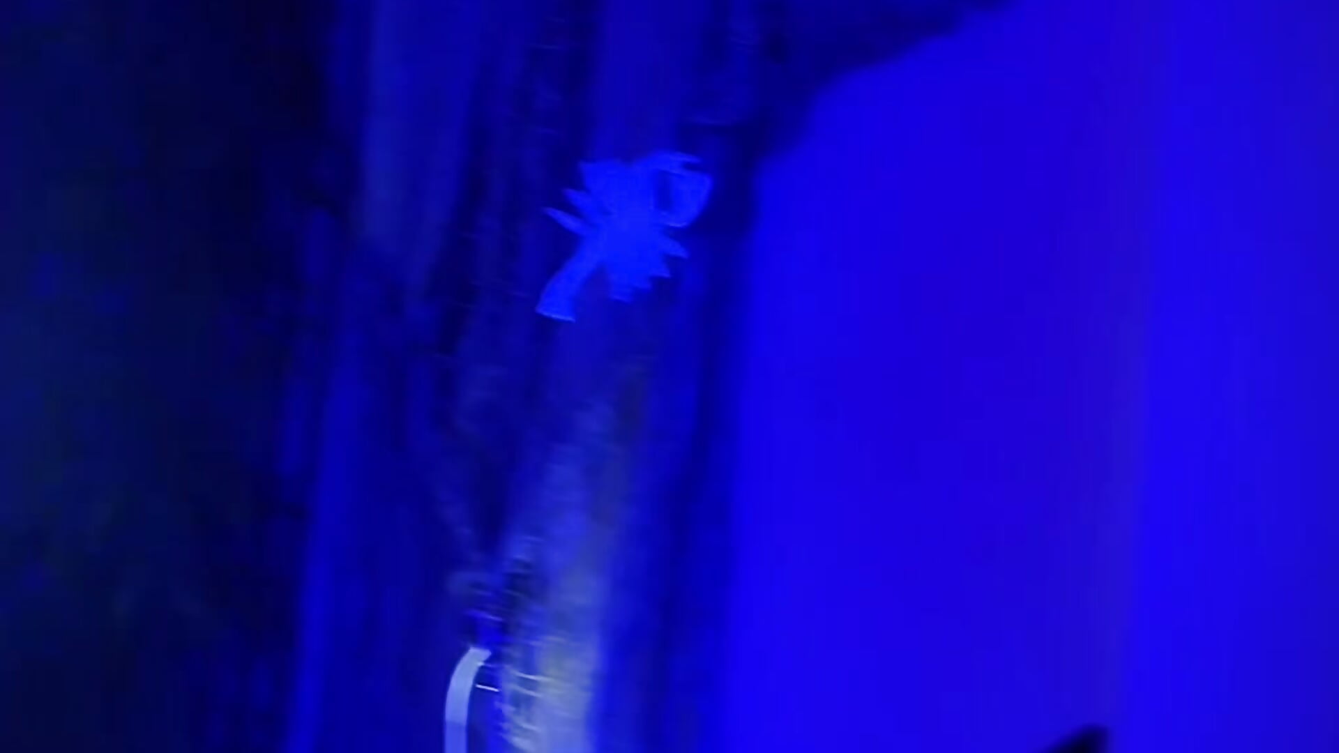 halloween !! - فيديو من WildgirlShow موديل الكام