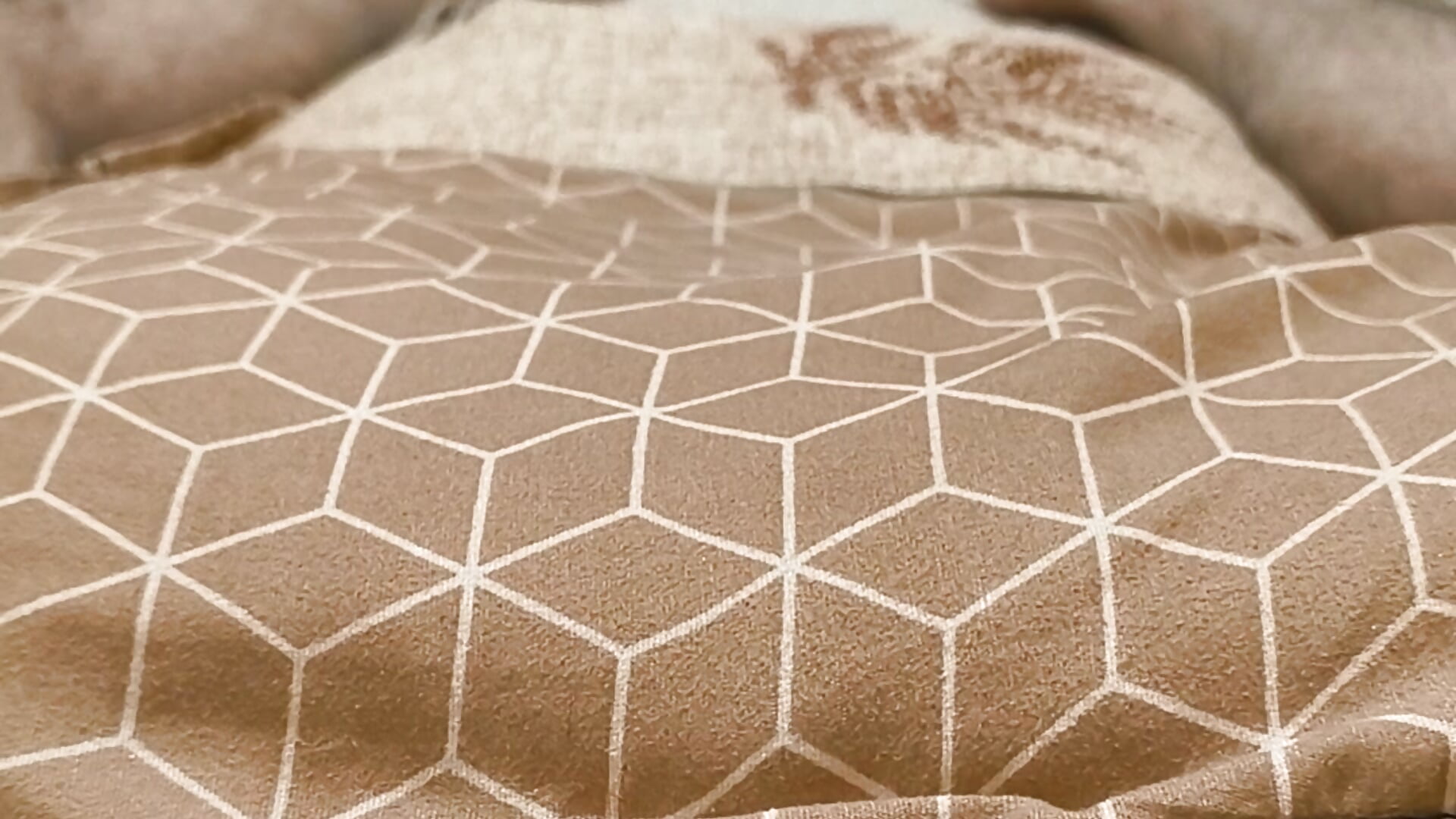 1000100695 - video oleh model kamera SoulmateFromBangalore