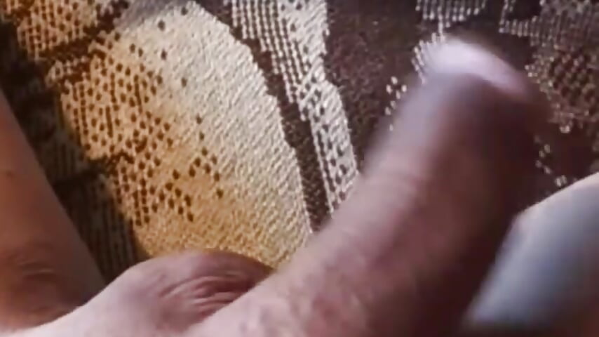 VID-20251020-WA0002 - video by cachondoyardiente cam model