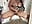 TOILET SHOW - video by YOUR_LOVELY-40 cam model