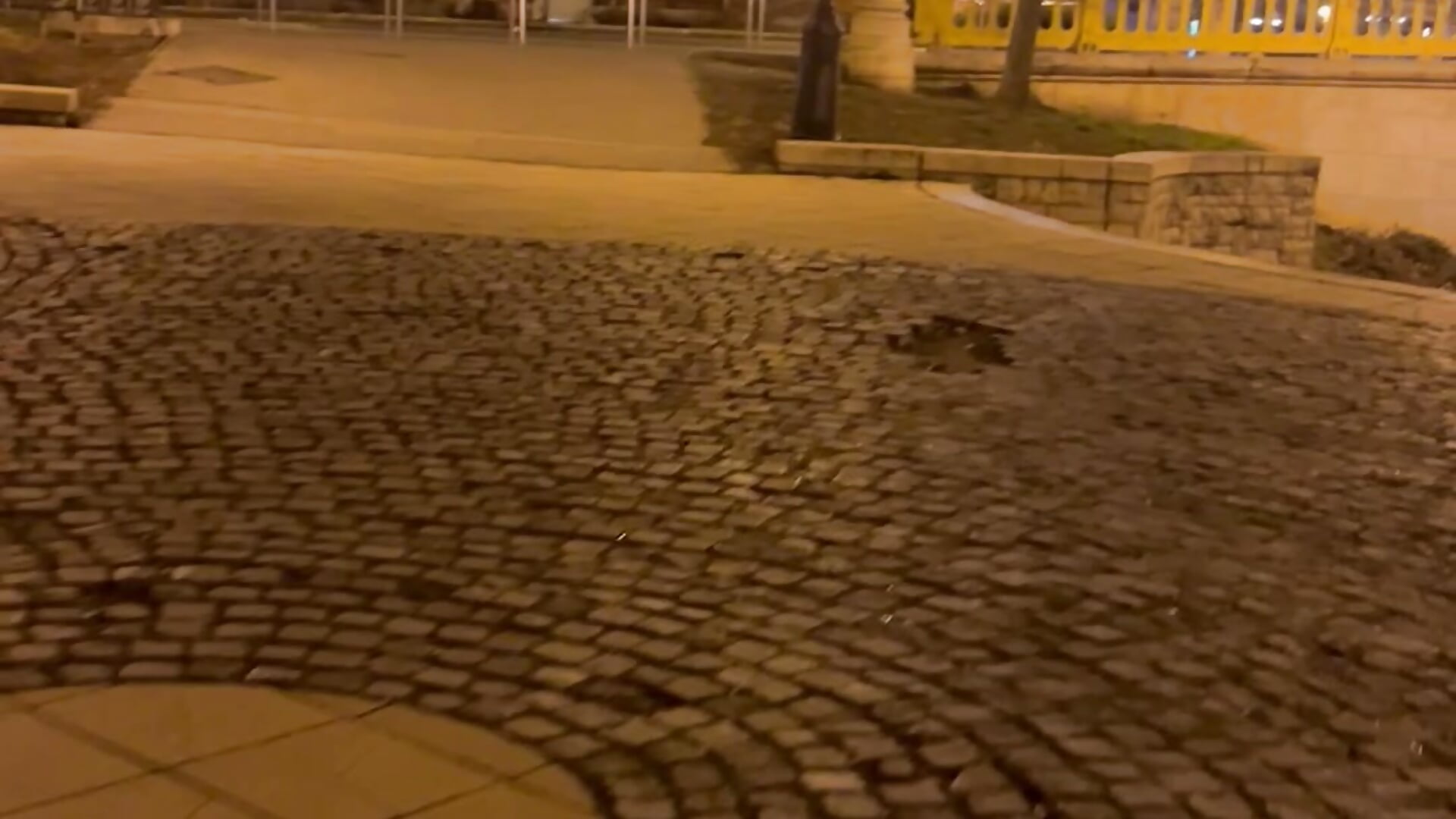 IMG_0583 - video by brownvirgindick cam model