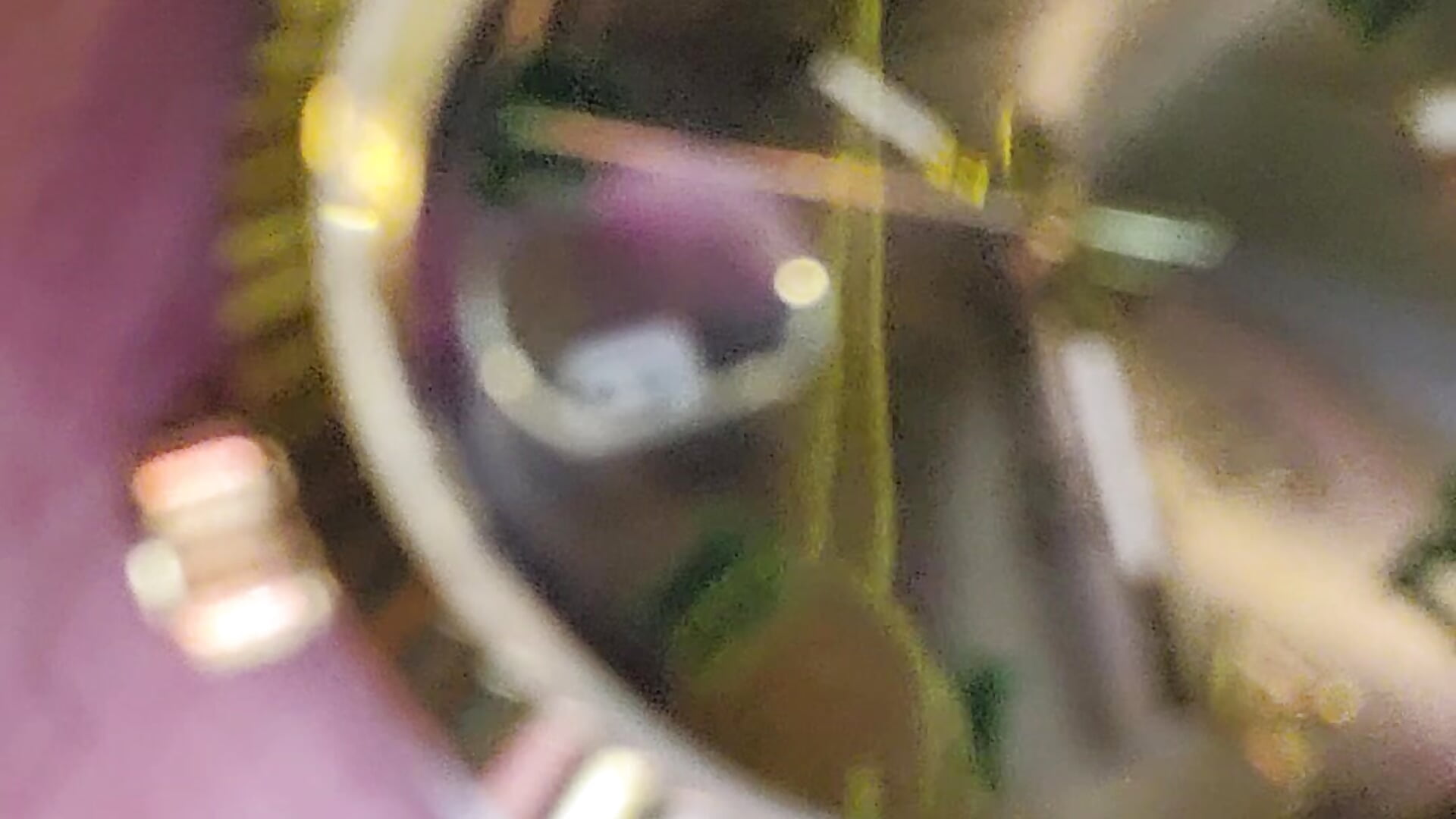 1000001517 - video by pagani5656 cam model