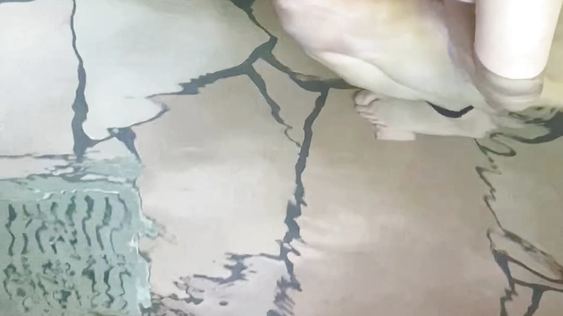 わたくすの、PONさんですよ