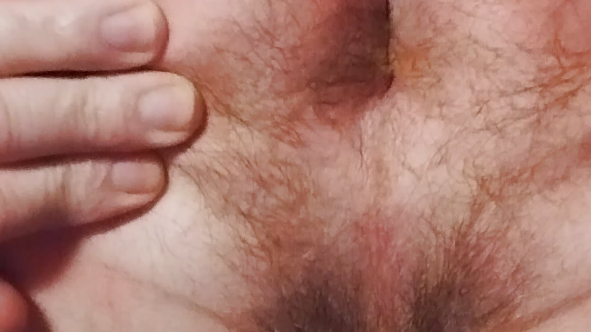 Ass - Video von Lutzi1 Cam-Model