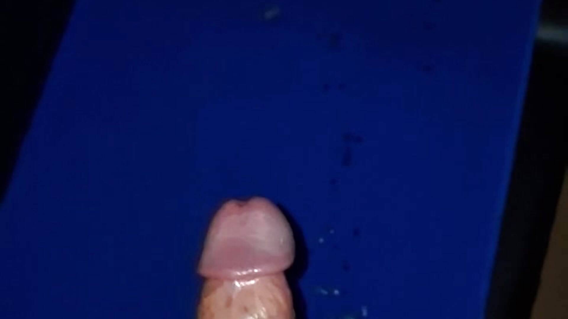 Absitzen - Vídeo de Slegde85, modelo de vídeos