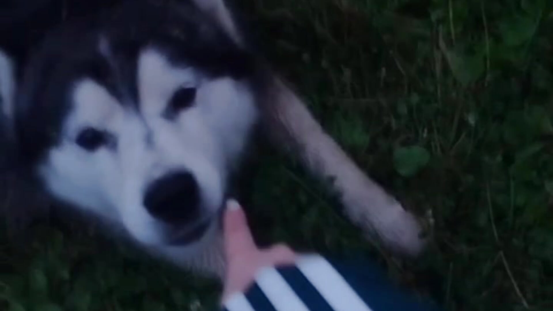 🌫 My mysterious walks 🌫 - video by DianaVert cam model