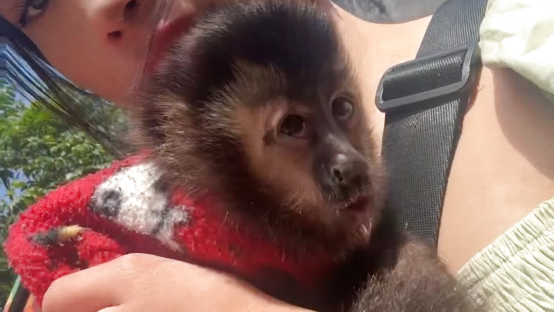 ❤️ - video by AlessiaVix cam model