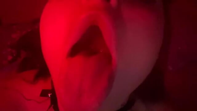 profile-intro-video-1714140912 - video by Torinori cam model