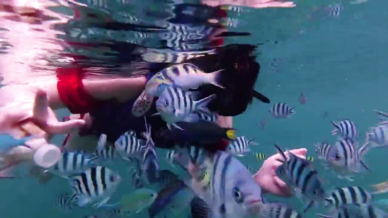 Soo ❤️ Sea - vidéo du modèle de showcams _Soo-Hee_